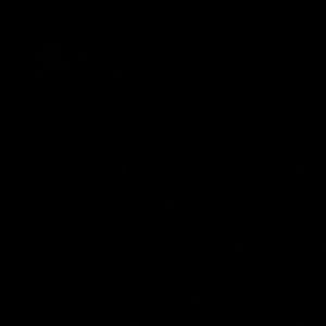 Meet your Posher, Bria